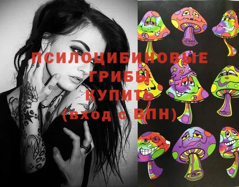 ссылка на мегу ТОР  Переславль-Залесский  Псилоцибиновые грибы Magic Shrooms 